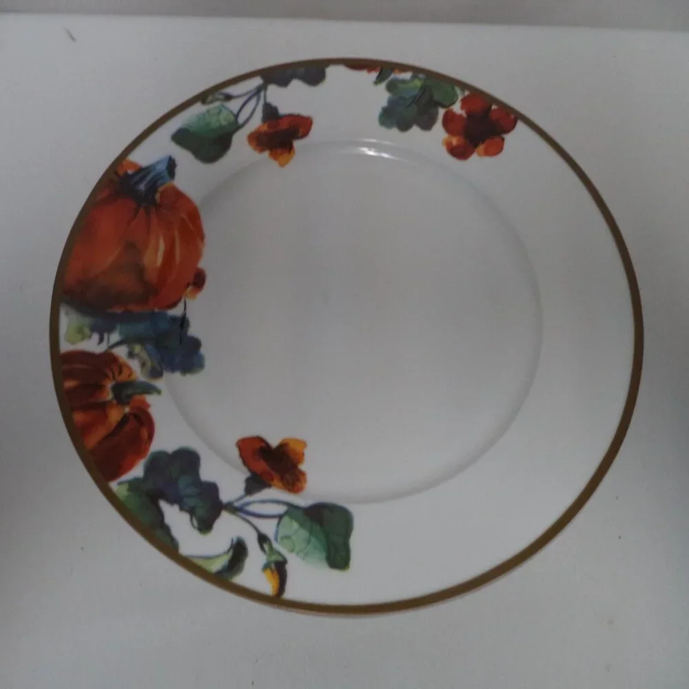 Ciroa Pumpkin Autumn Fall Thanksgiving Holiday Dinner Plate Set 6 Porcelain 11
